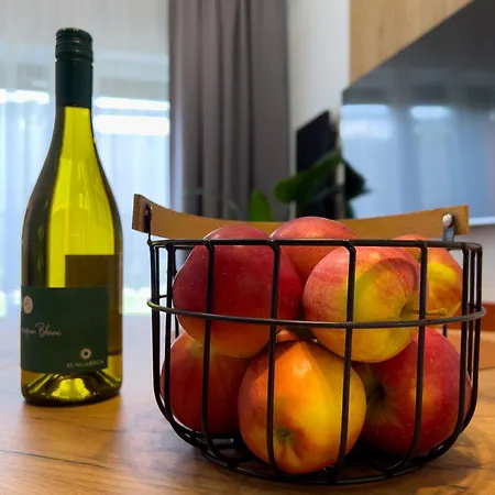 Apartment Trzy Rysie 